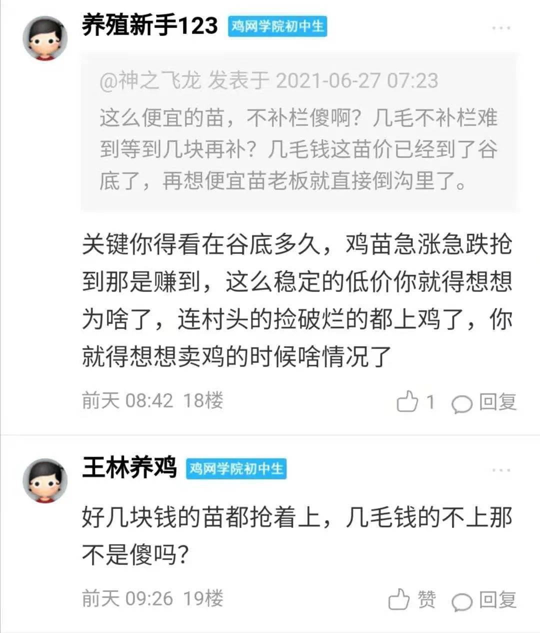 鸡病专业网最新论坛,鸡病专业网独家信息