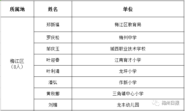 大埔县人事任免最新动态，深度解读与观点阐述