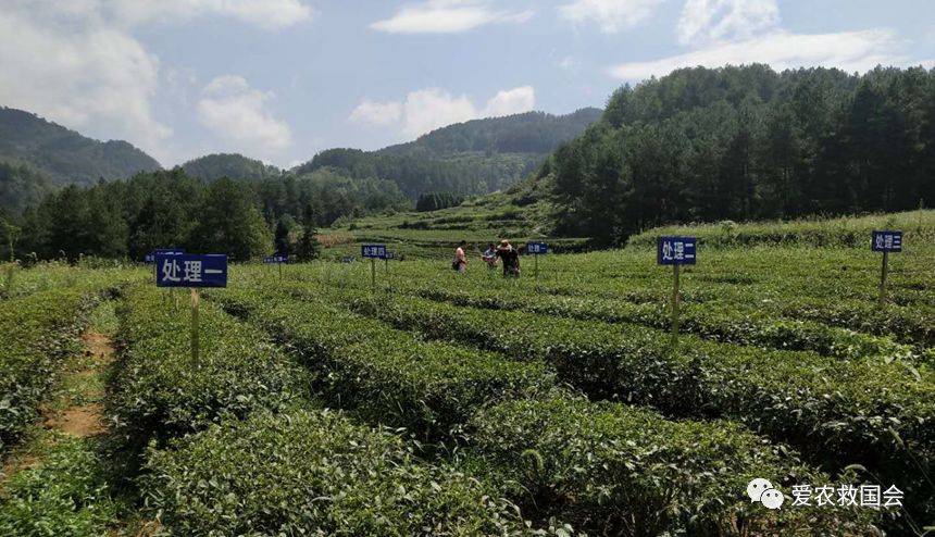 探秘历史深处的隐藏版特色小店，肥料奇缘非凡故事之巷深探秘日（11月12日最新）