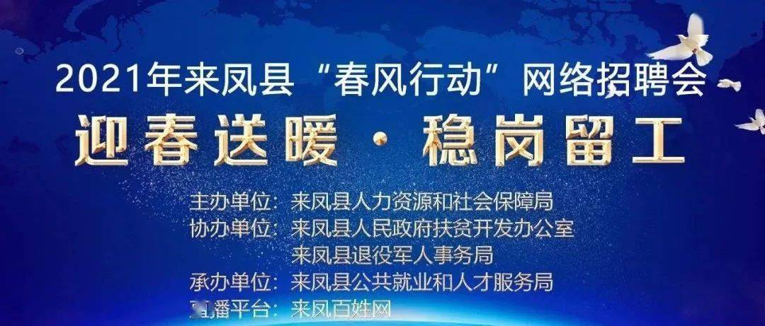 芜湖县盾安十一月十四日招聘活动深度解析与个人观点阐述