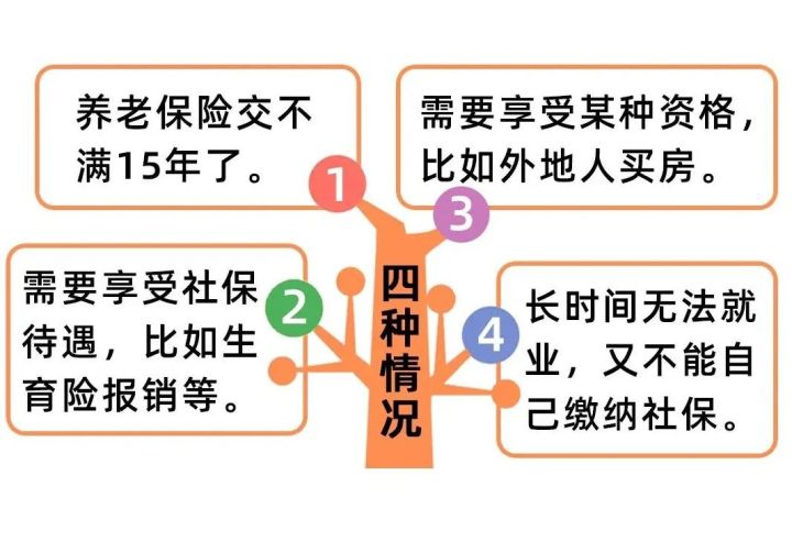 全面解读，2022年11月社保补缴最新政策详解及用户群体分析