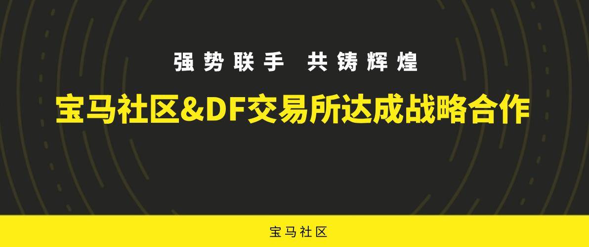 跃动未来，钉钉微博与你共成长——励志篇章开启新篇章（2024年11月17日）